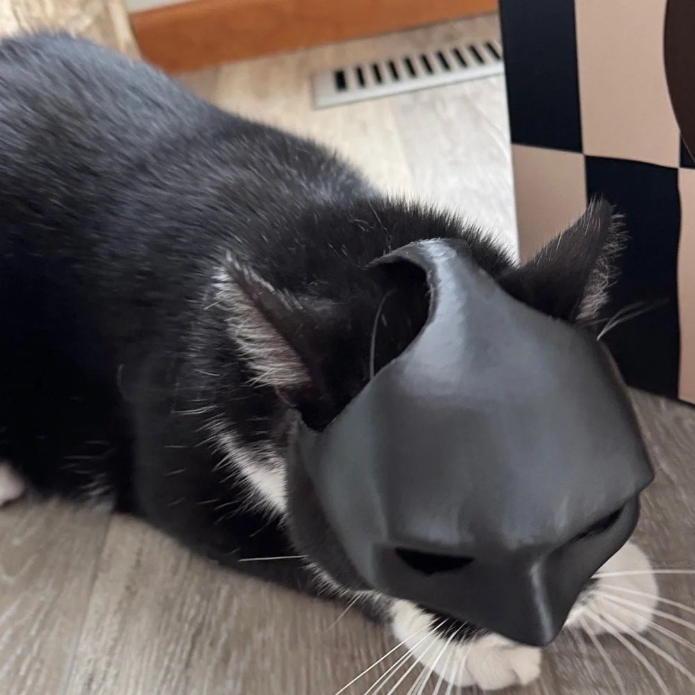 Batman Cat Costume Mask in Black